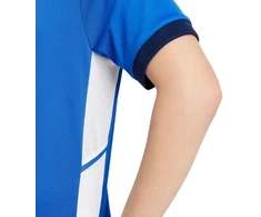 Nike Dri-Fit Academy 25 moksleivių trumpas rankoves marškinėliai FZ9758 463