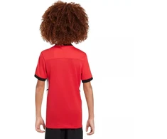 Nike Dri-Fit Academy 25 Moksliškai T-Shirt FZ9758 657