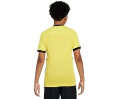 Nike Dri-Fit Academy 25 SS Jr Marškinėliai FZ9758 719
