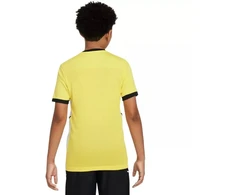Nike Dri-Fit Academy 25 SS Jr Marškinėliai FZ9758 719