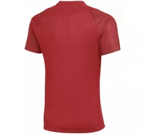 Nike Dri-Fit Academy II Vyriški marškinėliai Raudoni HV8160 657