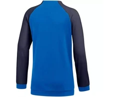 Nike Dri FIT Academy Pro Jr. džemperis DH9283 463