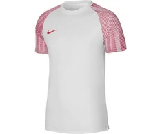 Nike Dri-Fit Academy SS M DH8031-100 Marškinėliai