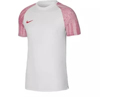 Nike Dri-Fit Academy SS M DH8031-100 Marškinėliai