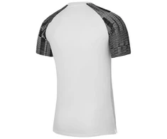 Nike Dri-Fit Academy SS M DH8031-104 marškinėliai