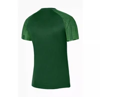 Nike Dri-Fit Academy SS M DH8031 302 marškinėliai