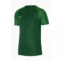 Nike Dri-Fit Academy SS M DH8031 302 marškinėliai