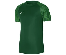 Nike Dri-Fit Academy SS M DH8031 302 marškinėliai