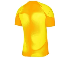 Nike Dri-FIT ADV Gardien 4 M Vartininko Marškinėliai DH7760-719