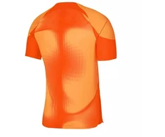Nike Dri-FIT ADV Gardien 4 M Vartininko Džersis DH7760-819
