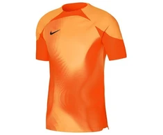 Nike Dri-FIT ADV Gardien 4 M Vartininko Džersis DH7760-819