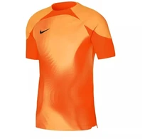 Nike Dri-FIT ADV Gardien 4 M Vartininko Džersis DH7760-819