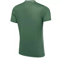 Nike Dri-Fit Park 26 SS Vyriški marškinėliai žali HM7127 302