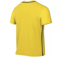 Nike Dri-Fit Park 26 trumpomis rankovėmis viršutinė dalis vyriški marškinėliai geltoni HM7127 719