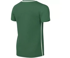 Nike Dri-Fit Park 26 vaikiški marškinėliai žali HM7134 302