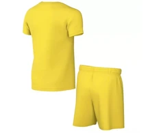 Nike Dri-FIT Park sportinis komplektas vaikams geltonas CD2244 719