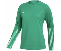 Nike Dri-Fit Park V Stadium Moterų Džersis Žalias HV8316 324