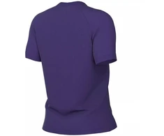 Nike Dri-Fit Park VIII moteriški marškinėliai, violetiniai, HV8178 547