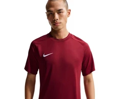 Nike Dri-Fit Park VIII Vyriški marškinėliai Bordo HV8173 677