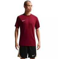 Nike Dri-Fit Park VIII Vyriški marškinėliai Bordo HV8173 677