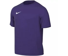 Nike Dri-Fit Park VIII Vyriški Marškinėliai Violetiniai HV8173 547