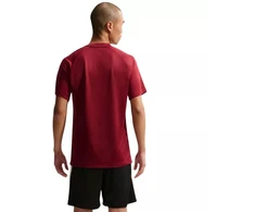 Nike Dri-Fit Park VIII Vyriški marškinėliai Bordo HV8173 677
