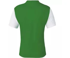 Nike Dri-Fit Tiempo Premier 2 M Marškinėliai DH8035 302