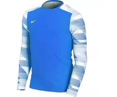 Nike Dry Park IV JSY LS GK Jr CJ6072-463