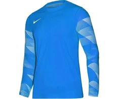 Nike Dry Park IV JSY LS GK Jr CJ6072-463