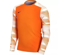 Nike Dry Park IV JSY LS GK Jr CJ6072-819