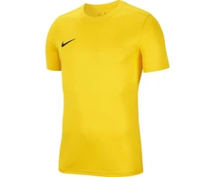 Nike Dry Park VII JSY SS M BV6708 719 Marškinėliai