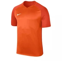 Nike Dry Trophy III marškinėliai vyrams 881483-815