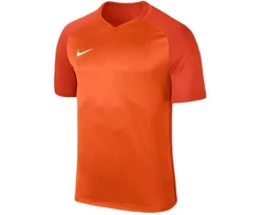 Nike Dry Trophy III marškinėliai vyrams 881483-815