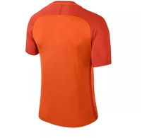 Nike Dry Trophy III marškinėliai vyrams 881483-815