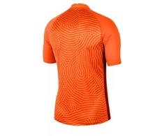 Nike Gardien III GK M BV6714-803 Vartininko marškinėliai