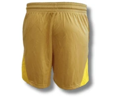Nike Isofly Šortai Moteriški - DH7363-252