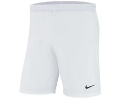 Nike lazerinis IV Austrieti Šortai M AJ1245-100