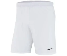 Nike lazerinis IV Austrieti Šortai M AJ1245-100