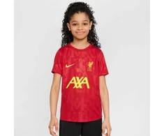 Nike Liverpool FC Academy Pro SS Top Jr FQ0013-688
