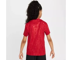 Nike Liverpool FC Academy Pro SS Top Jr FQ0013-688