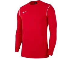 Nike Park 20 Crew Jr BV6901-657 džemperis