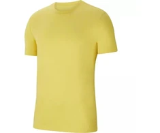 Nike Park 20 jaunes vaikiški marškinėliai CZ0909-719
