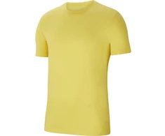 Nike Park 20 jaunes vaikiški marškinėliai CZ0909-719