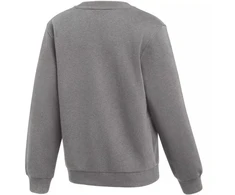 Nike Park 26 Fleece apvali apykaklė, vaikiškas džemperis, pilkas IB1188 063