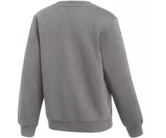 Nike Park 26 Fleece apvali apykaklė, vaikiškas džemperis, pilkas IB1188 063