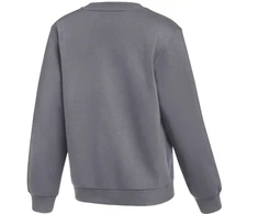 Nike Park 26 Fleece apvalios iškirptės džemperis vaikams, pilkas IB1188 071