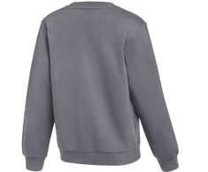 Nike Park 26 Fleece apvalios iškirptės džemperis vaikams, pilkas IB1188 071
