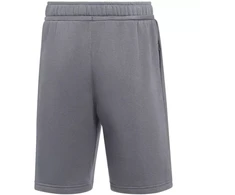 Nike Park 26 Fleece Vaikams Šortai Pilki IB1242 071