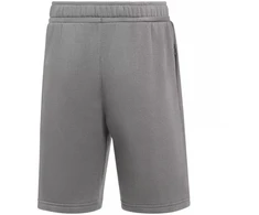 Nike Park 26 Fleece vaikiški šortai pilki IB1242 063