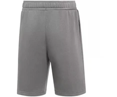 Nike Park 26 Fleece vaikiški šortai pilki IB1242 063